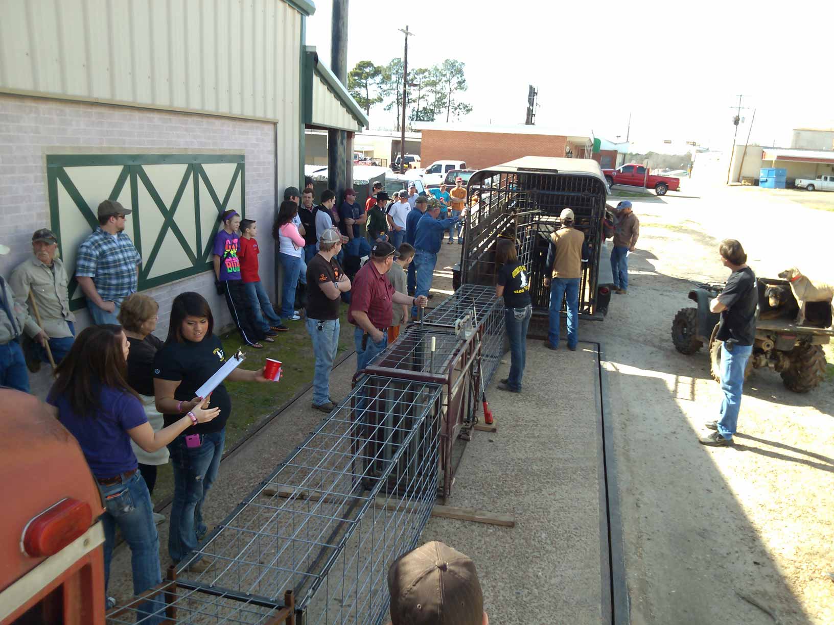 Potts Feed Store Hog Hunt WeighIn 2313 At Potts Feed Store Quitman